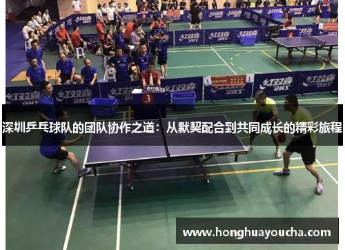 深圳乒乓球队的团队协作之道：从默契配合到共同成长的精彩旅程