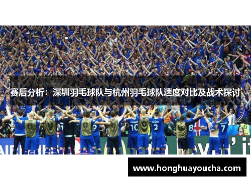 赛后分析：深圳羽毛球队与杭州羽毛球队速度对比及战术探讨