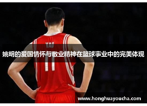姚明的爱国情怀与敬业精神在篮球事业中的完美体现