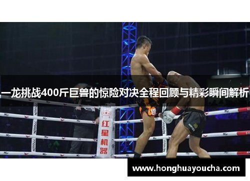 一龙挑战400斤巨兽的惊险对决全程回顾与精彩瞬间解析