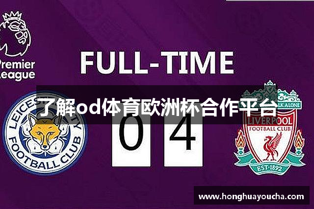 了解od体育欧洲杯合作平台